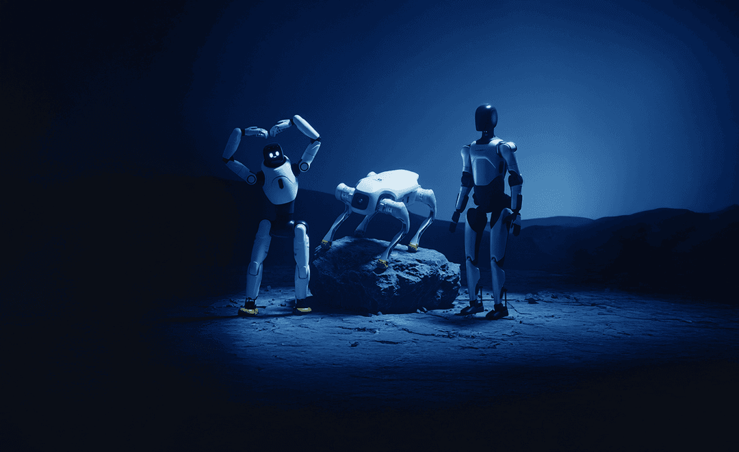 Interactive Robots
